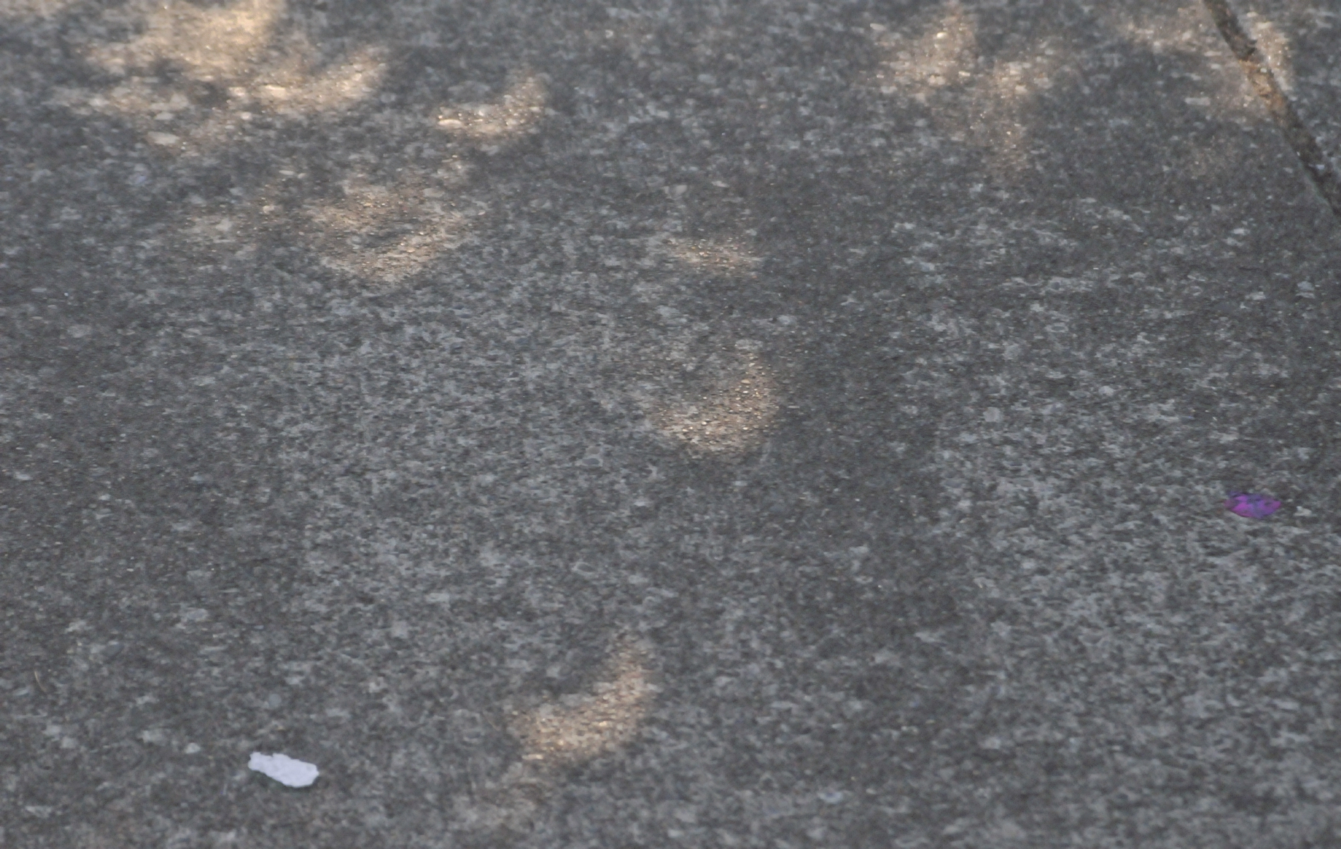 ./Solar_Eclipse_Salem_Oregon_Riverfront_Park_20170821_095431_C17_5063.jpg