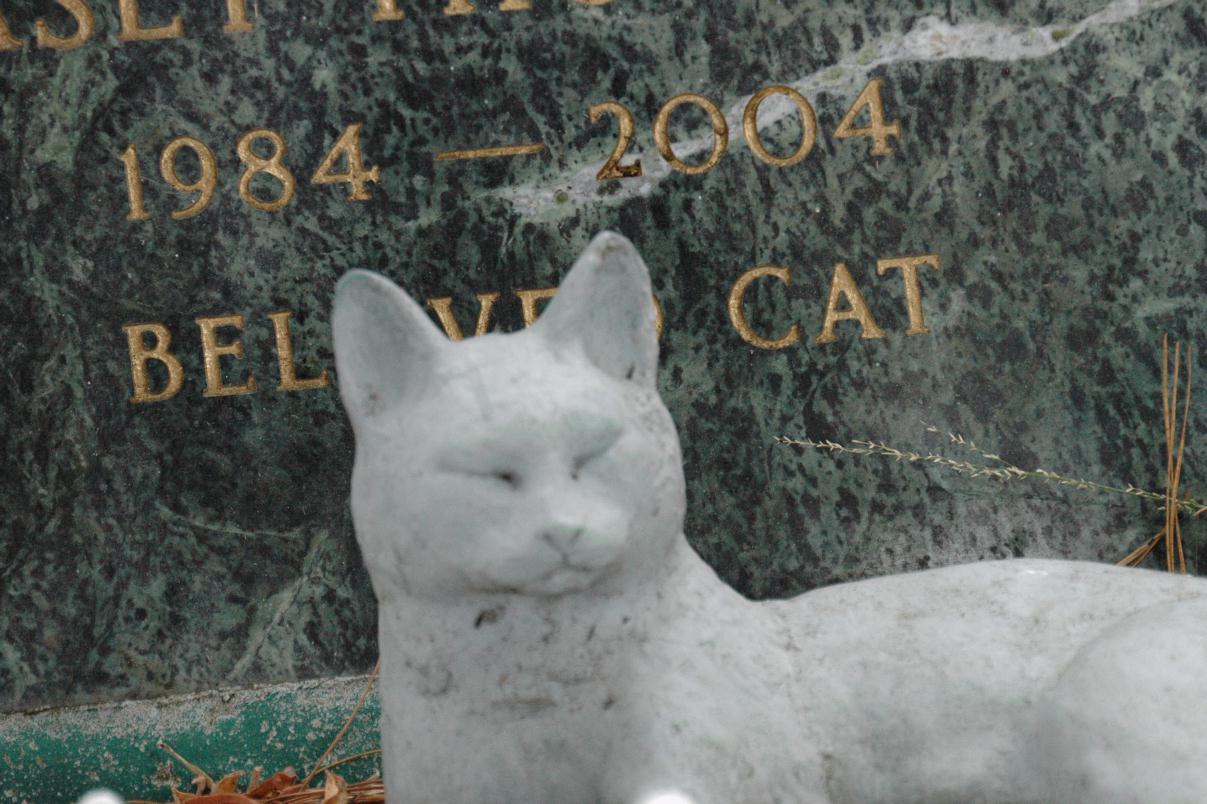 ./PresidioPetCemetery2007_03.jpg