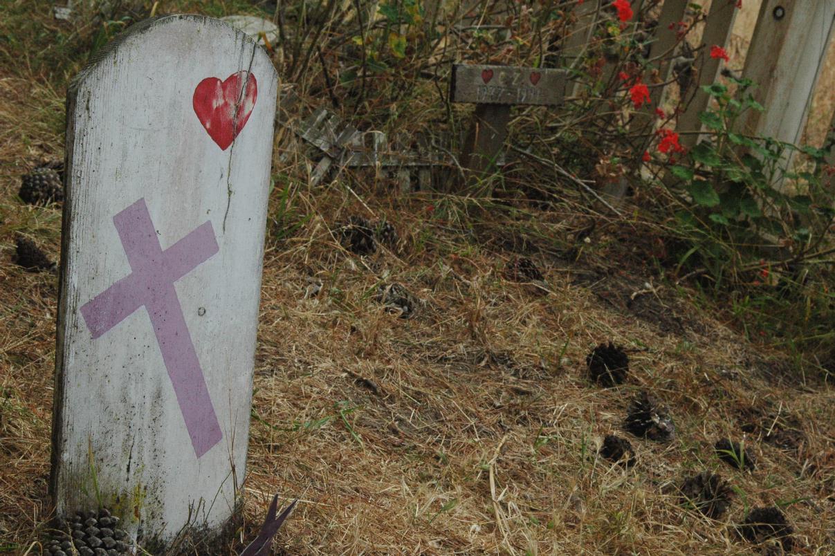 ./PresidioPetCemetery2007_11.jpg