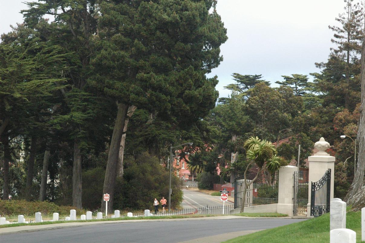 ./SFNatCemetery2007_06.jpg