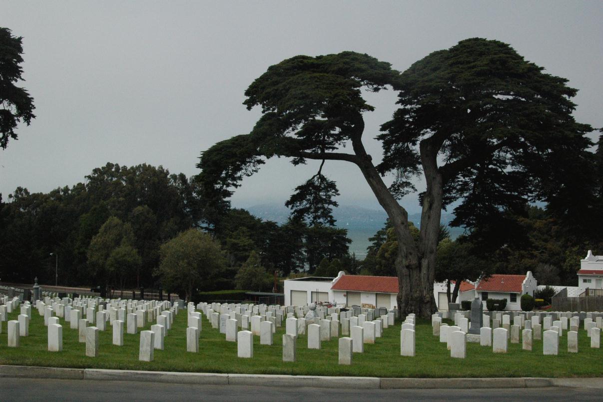 ./SFNatCemetery2007_11.jpg