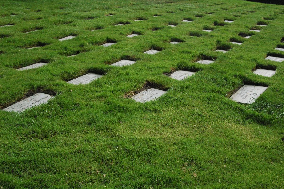 ./SFNatCemetery2007_18.jpg