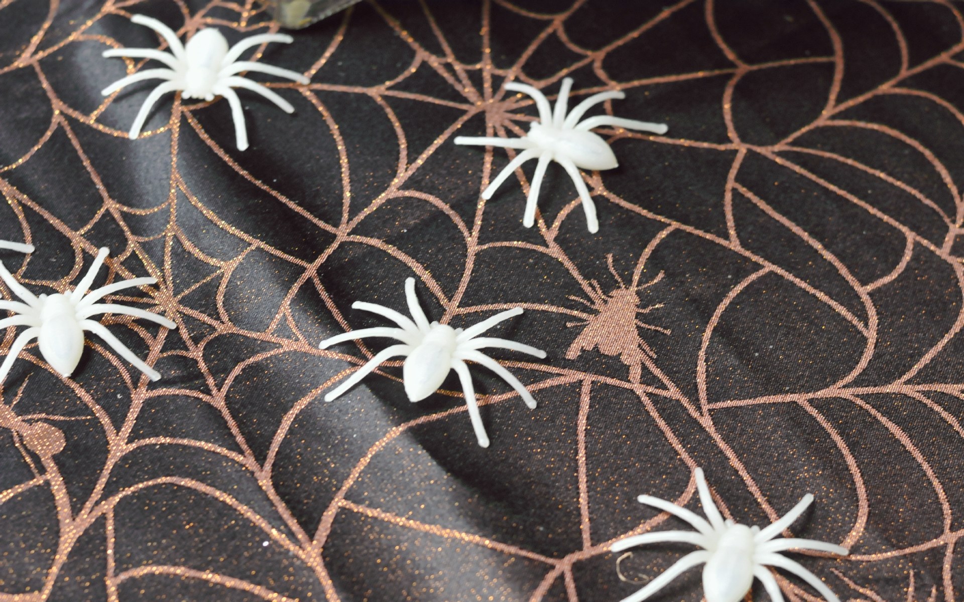 ./Halloween_Spiders_20211007_163337_C21_1068.jpg