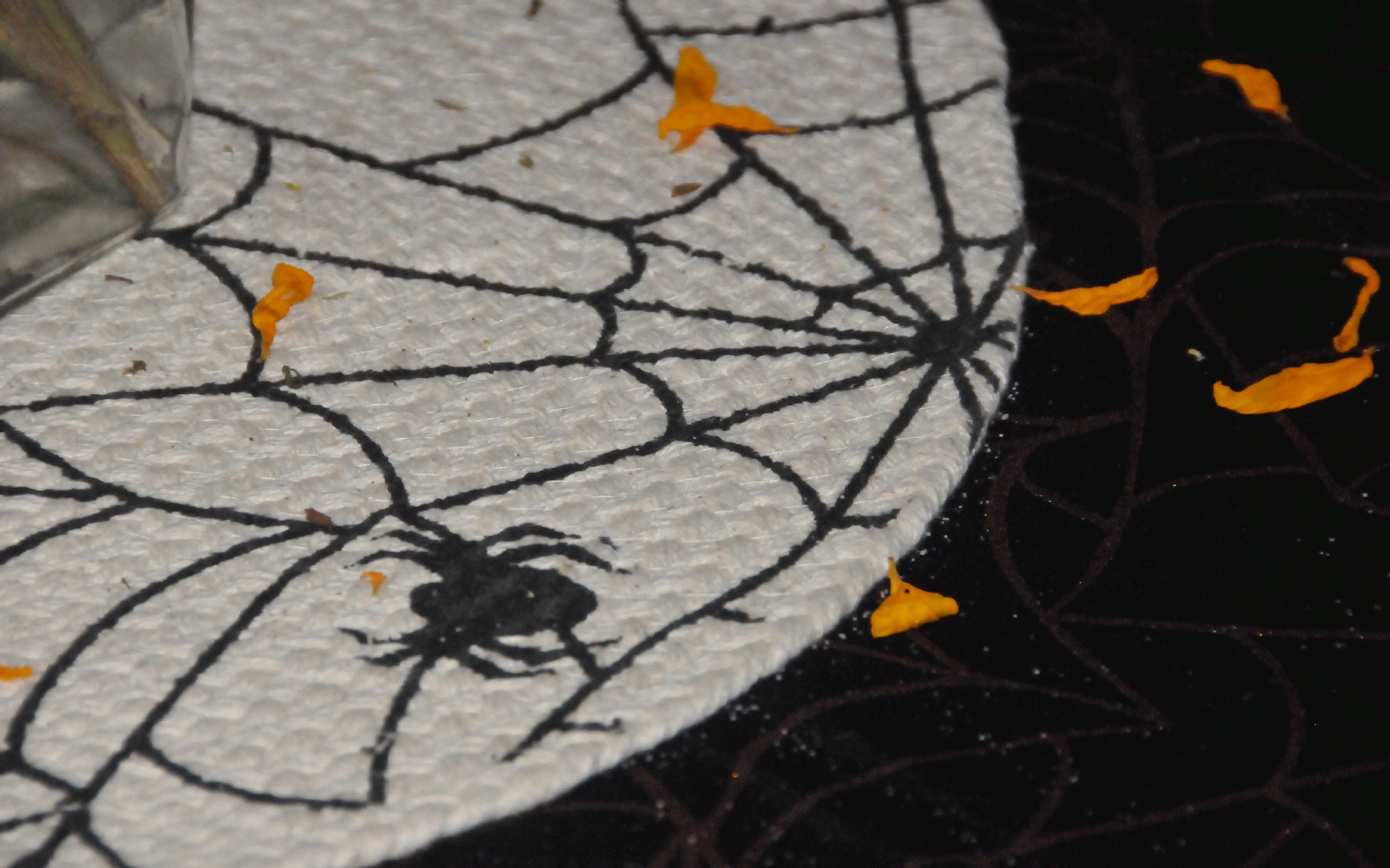 ./Halloween_Spiders_20211014_092602_C21_1116.jpg