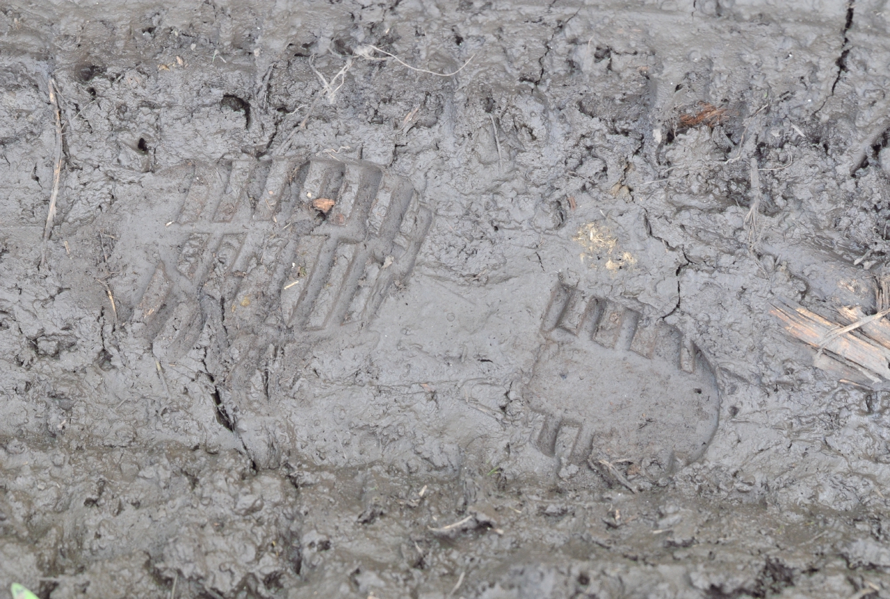 ./Footprint_20111119_155047_Ometepe_Island_Lake_Nicaragua_B12_2086.jpg