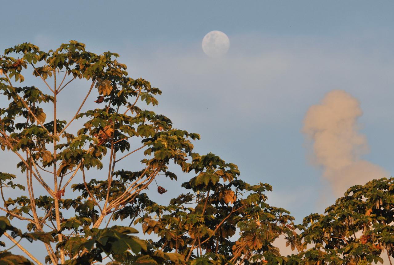 ./FullMoon20090406_AmazonPeru_183432_5817TNT.jpg