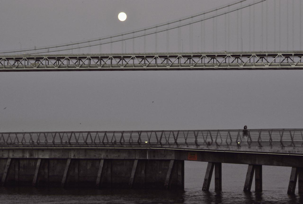 ./FullMoon20090903_BayBridge_194452_0851BCX.jpg