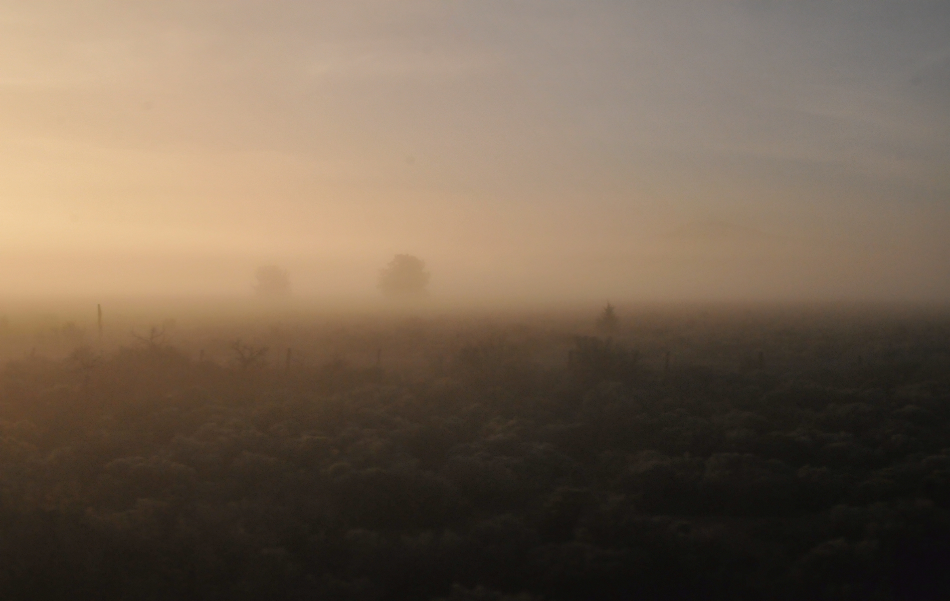 ./Dawn20150427_064803_Amtrak_Train_Oregon_C15_1065.jpg