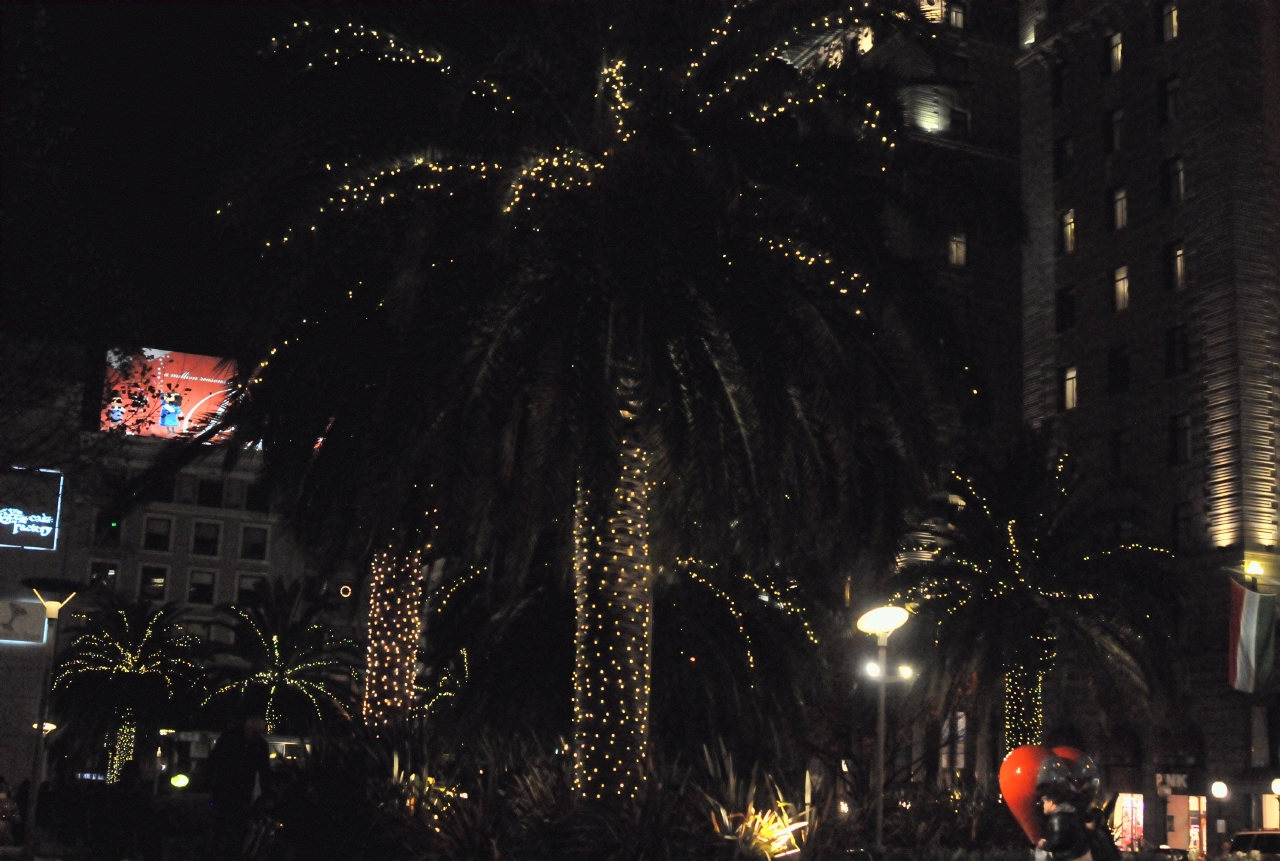 ./Xmas_Lights_20131215_193942_C13_5460.jpg