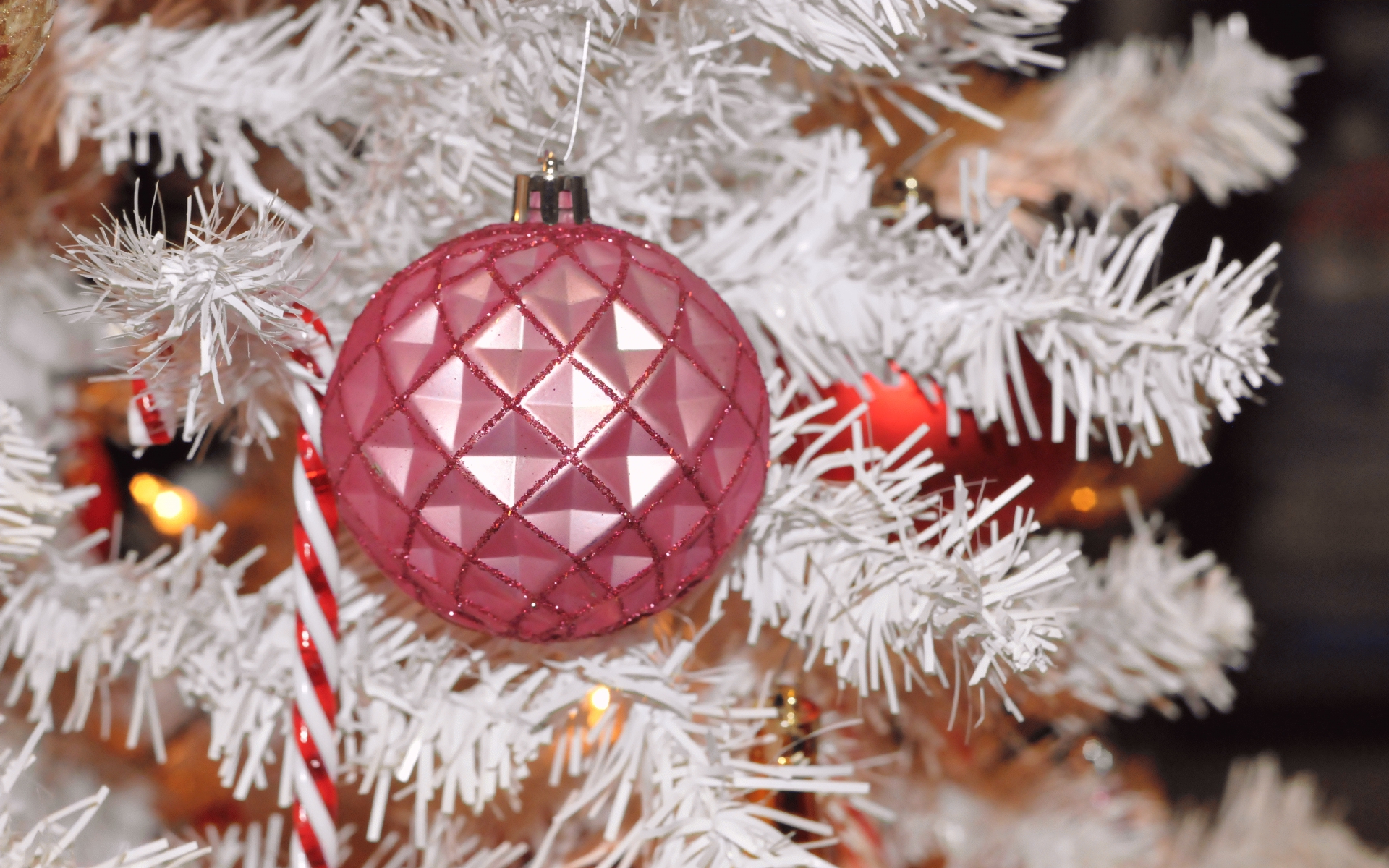 ./Christmas_Ornament_20211213_143043_C21_1365.jpg