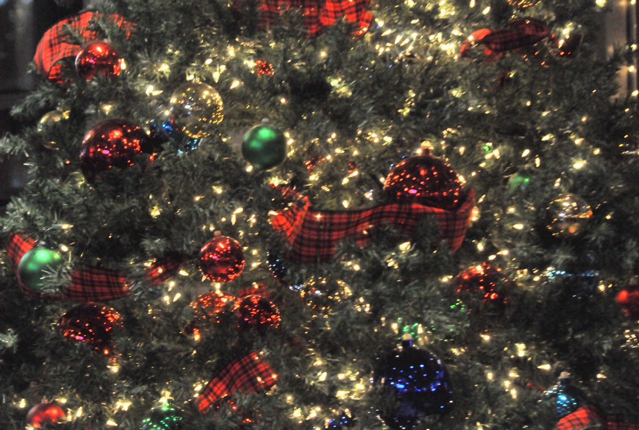 ./Xmas_Tree_20131215_171448_C13_5298.jpg