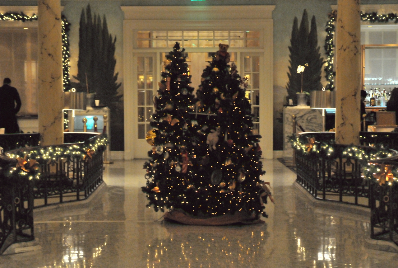 ./Xmas_Tree_20131215_192330_C13_5423.jpg