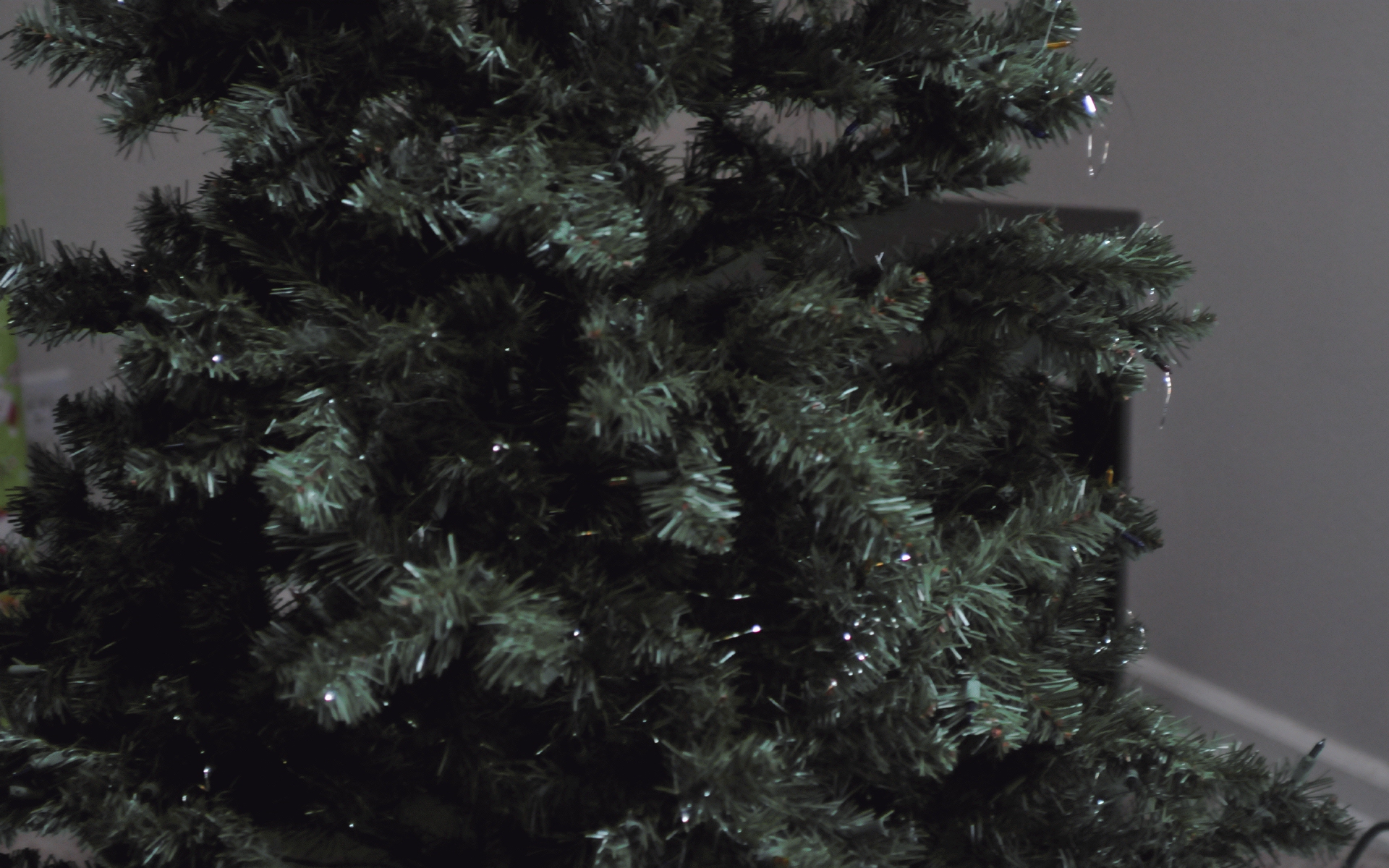 ./Green_Christmas_Tree_20201127_132455_C20_0069.jpg