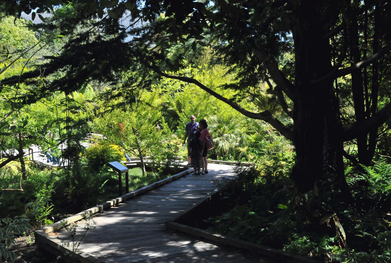 ./StrybingArboretumSF20100502_18_134236_4193BCX.jpg