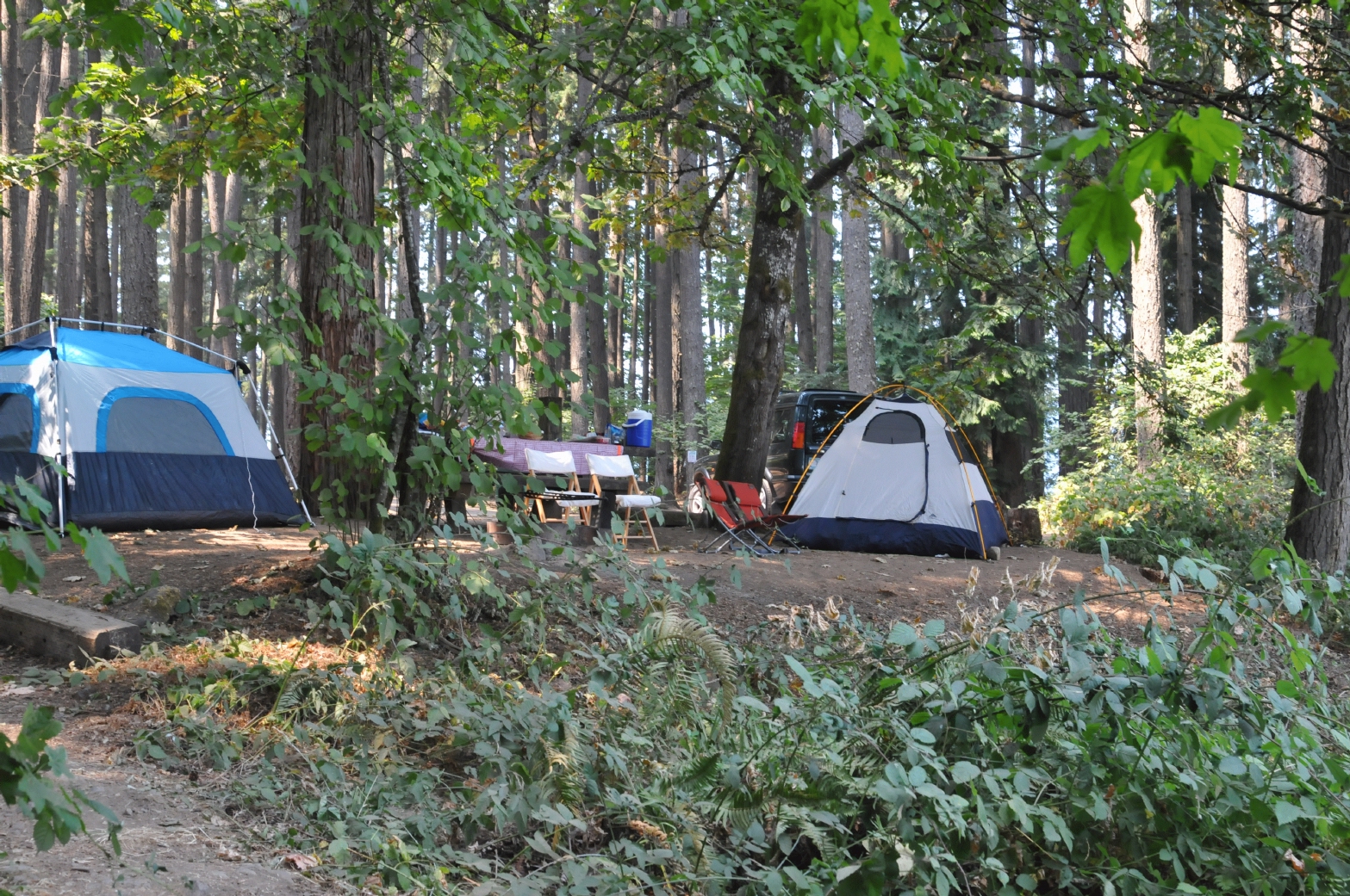 ./Baker_Bay_Campground_20150824_140646_C15_4805.jpg