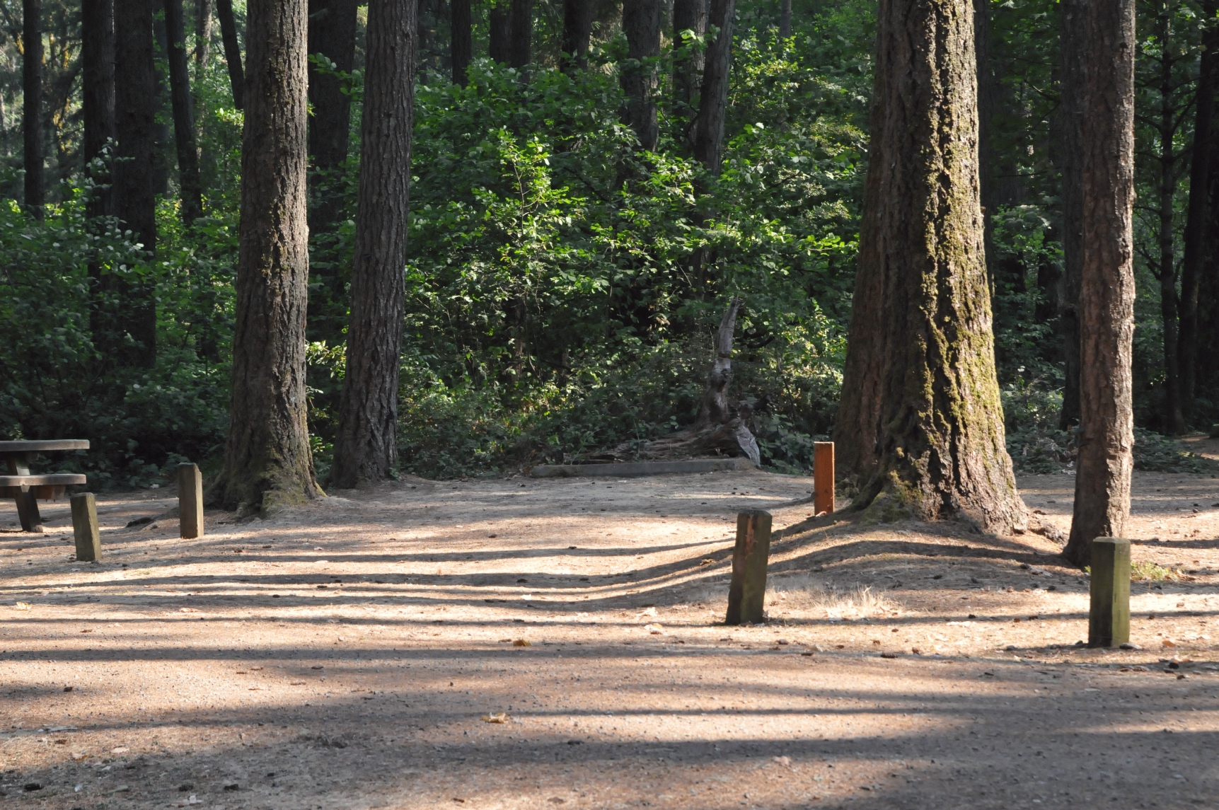 ./Baker_Bay_Campground_20150824_153526_C15_4147.jpg