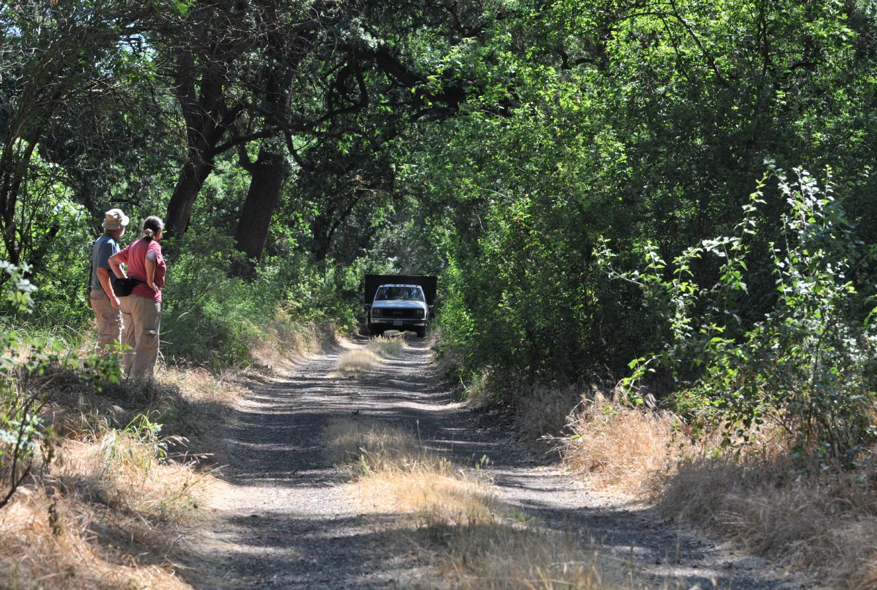 ./CaswellCampground20090530_18_104218_4911BCX.jpg