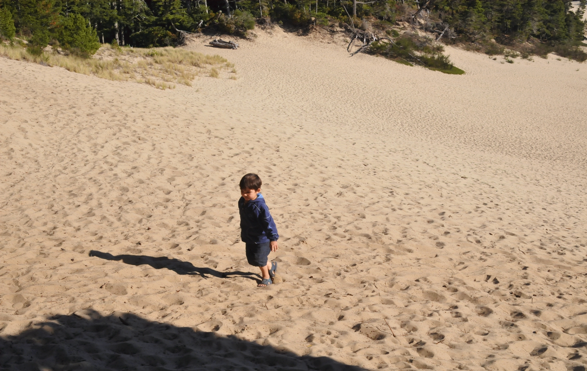 ./Westley_At_Honeymans_Campground_20160905_171457_C16_9107.jpg