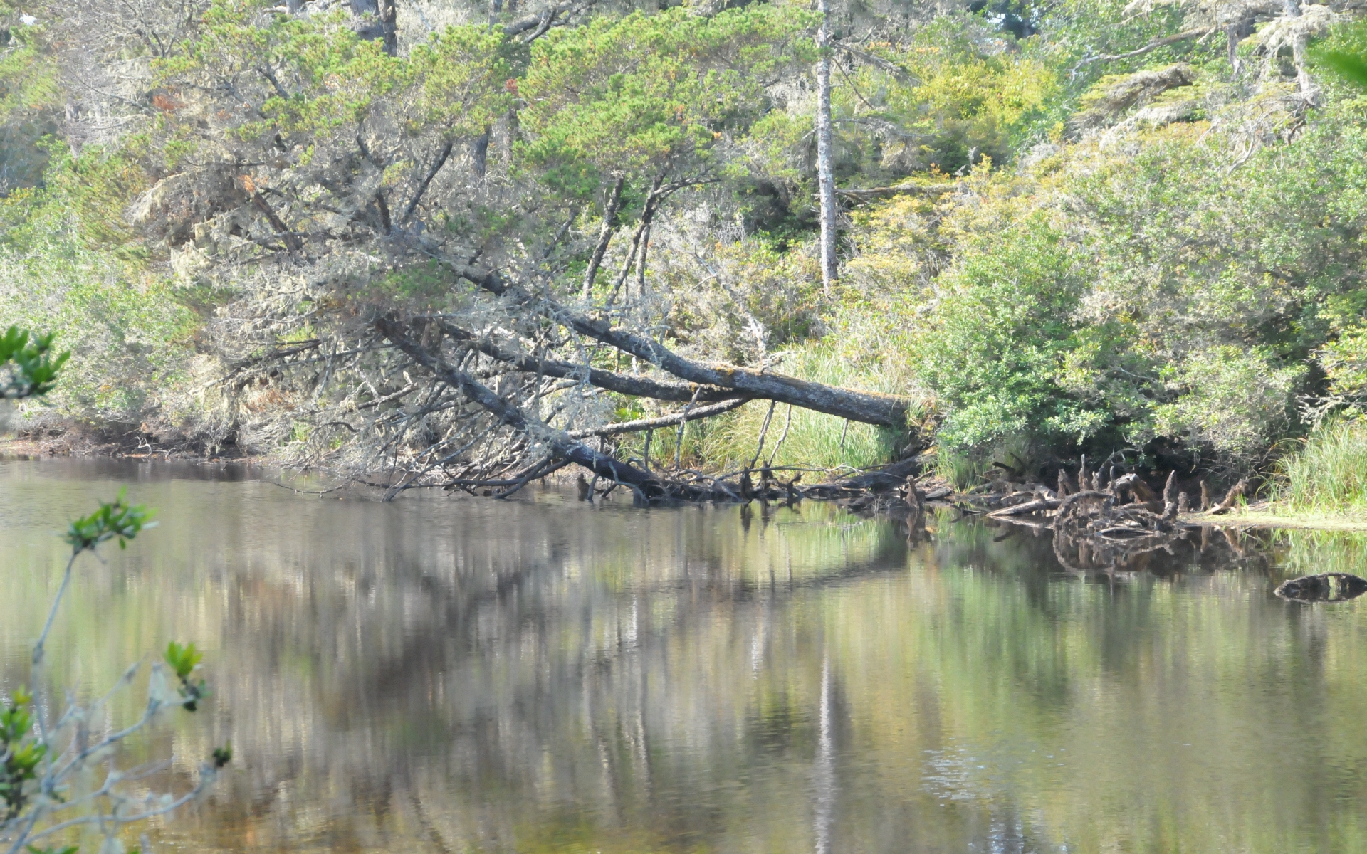 ./Reflections_Lagoon_Cqampground_20230815_102538_C23_1078.jpg