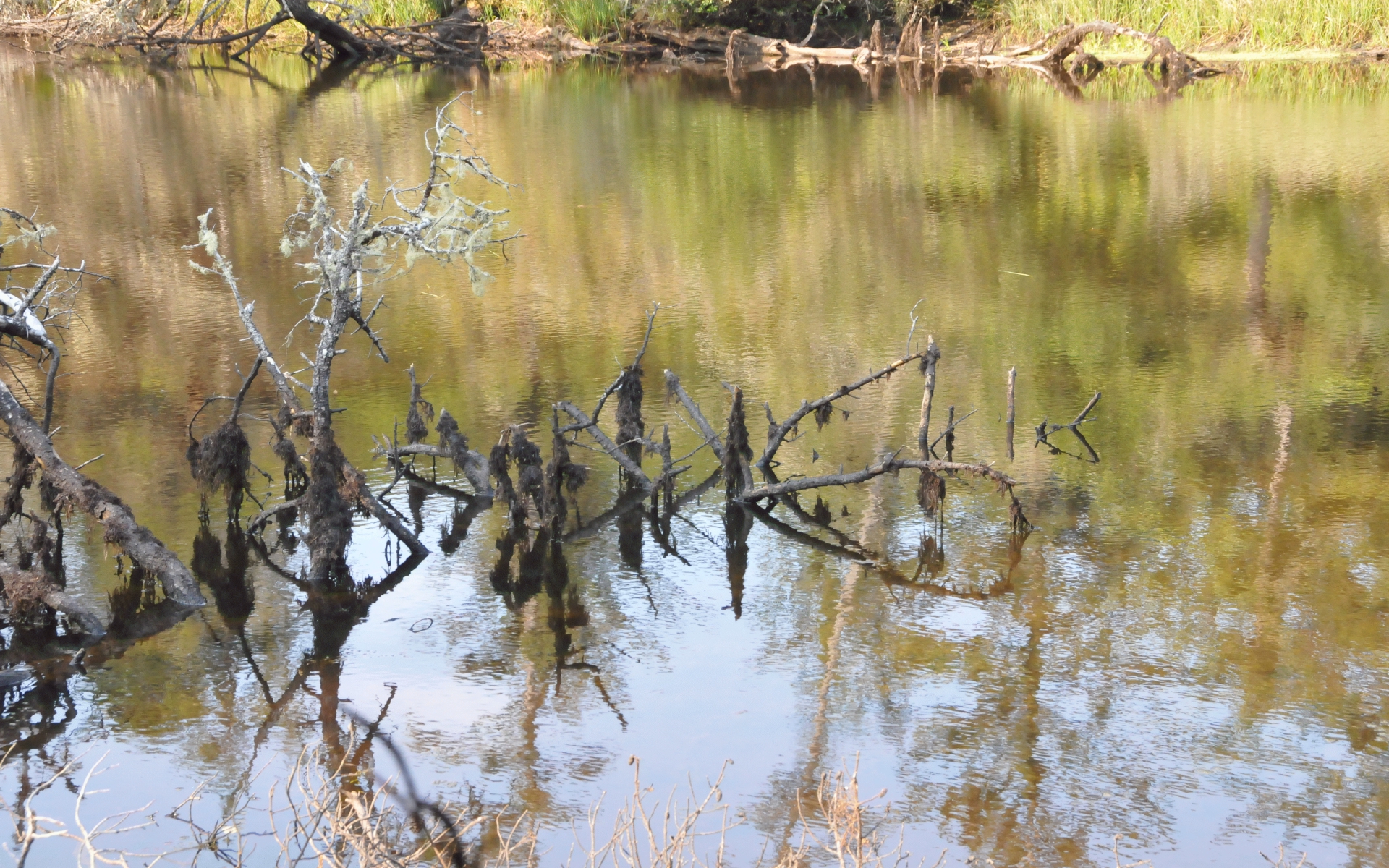 ./Reflections_Lagoon_Cqampground_20230815_102651_C23_1080.jpg