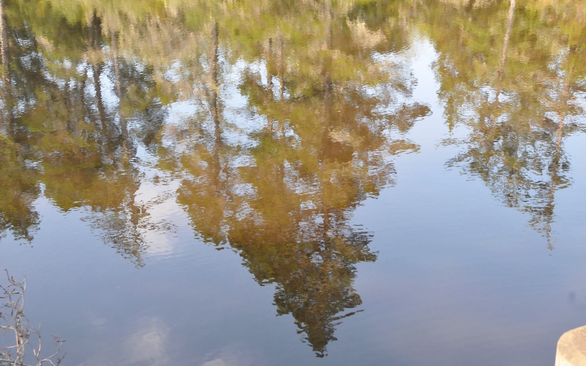 ./Reflections_Lagoon_Cqampground_20230815_102910_C23_1085.jpg