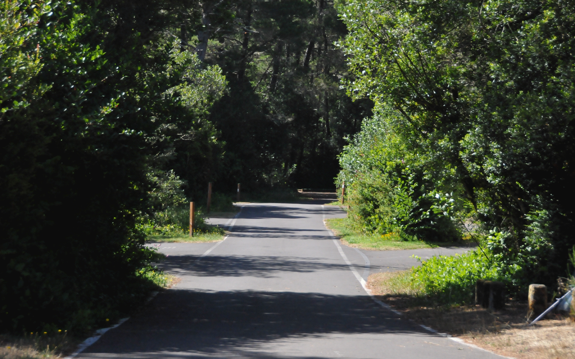 ./Roads_Lagoon_Campground_20240812_154408_C24_0961.jpg