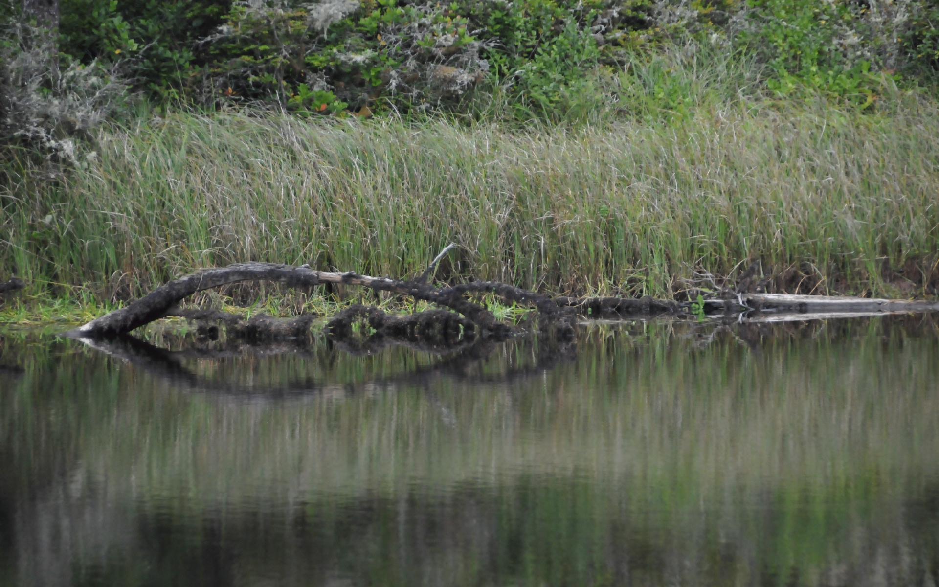 ./Reflections_Lagoon_Campground_20240812_104110_C24_0861.jpg