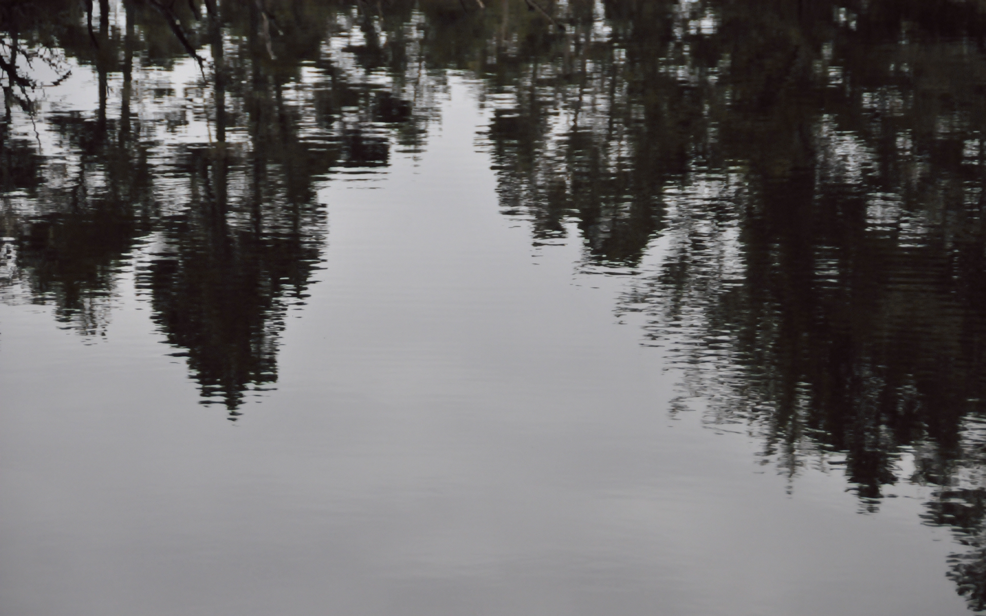 ./Reflections_Lagoon_Campground_20240812_104215_C24_0864.jpg