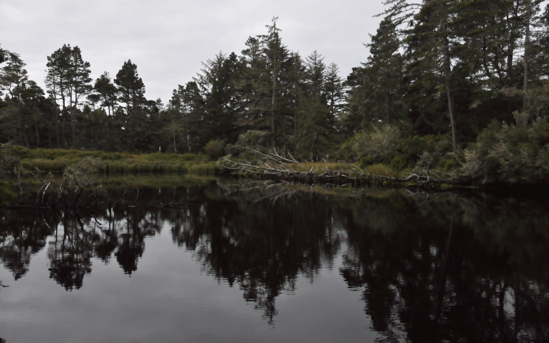 ./Reflections_Lagoon_Campground_20240812_104810_C24_0858.jpg