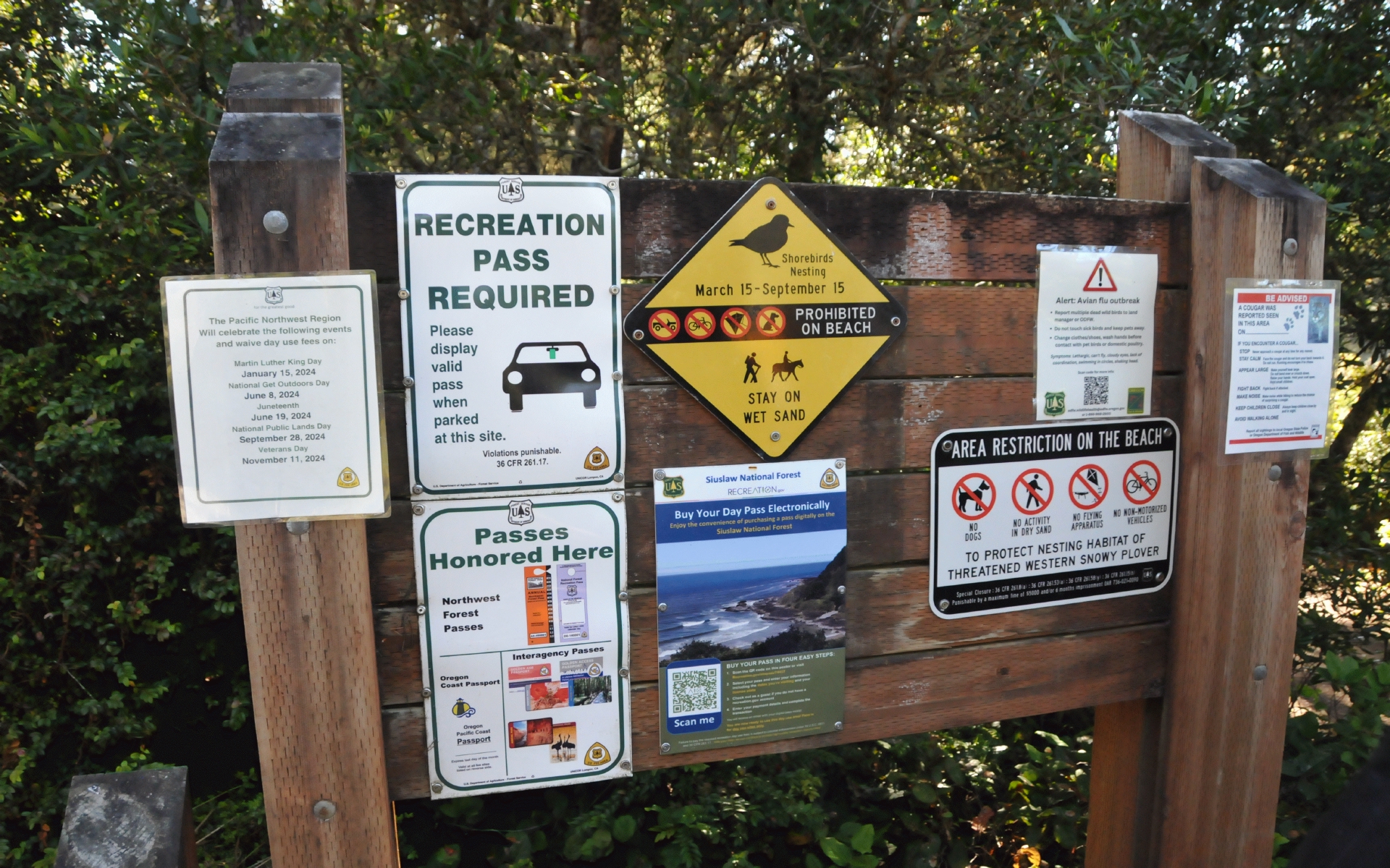 ./Signs_Lagoon_Campground_20240811_170948_C24_0788.jpg