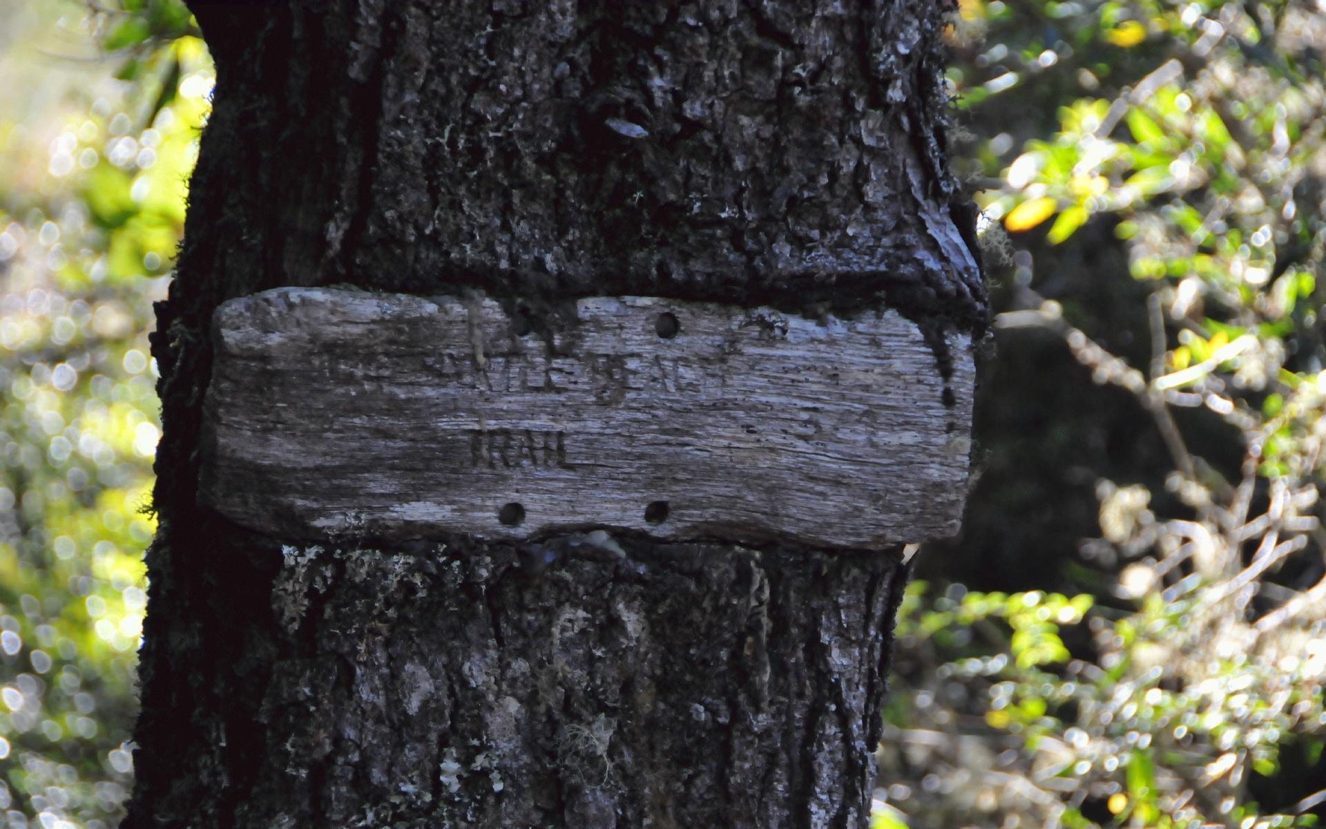 ./Signs_Lagoon_Campground_20240811_171029_C24_0789.jpg