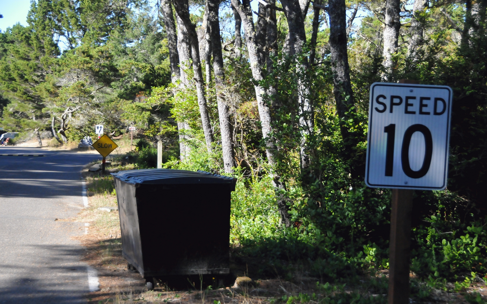 ./Signs_Lagoon_Campground_20240811_172326_C24_0800.jpg