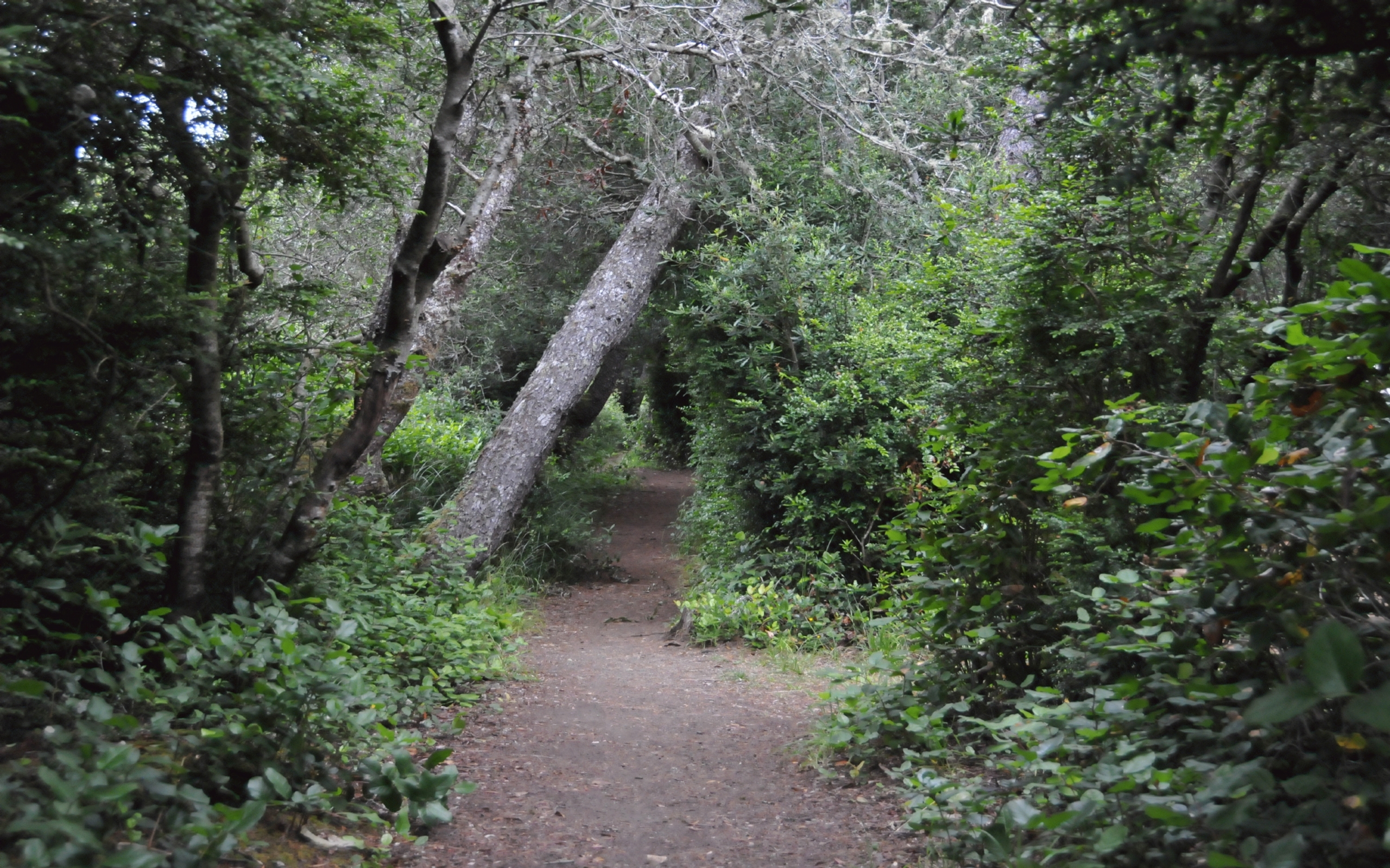 ./Tunnel_Lagoon_Campground_20240812_105013_C24_0877.jpg