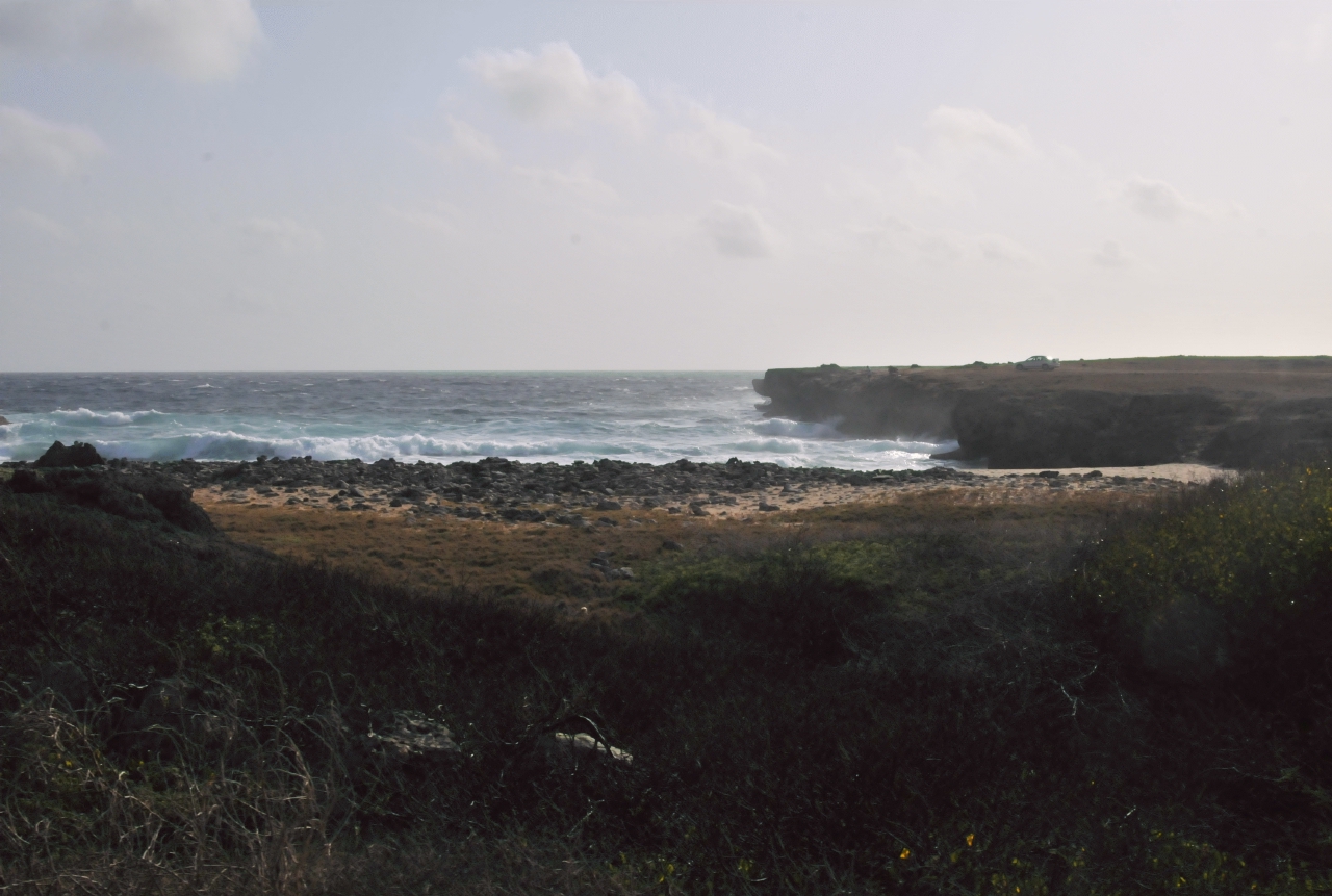 ./Aruba_20140504_081037_C14_1679.jpg