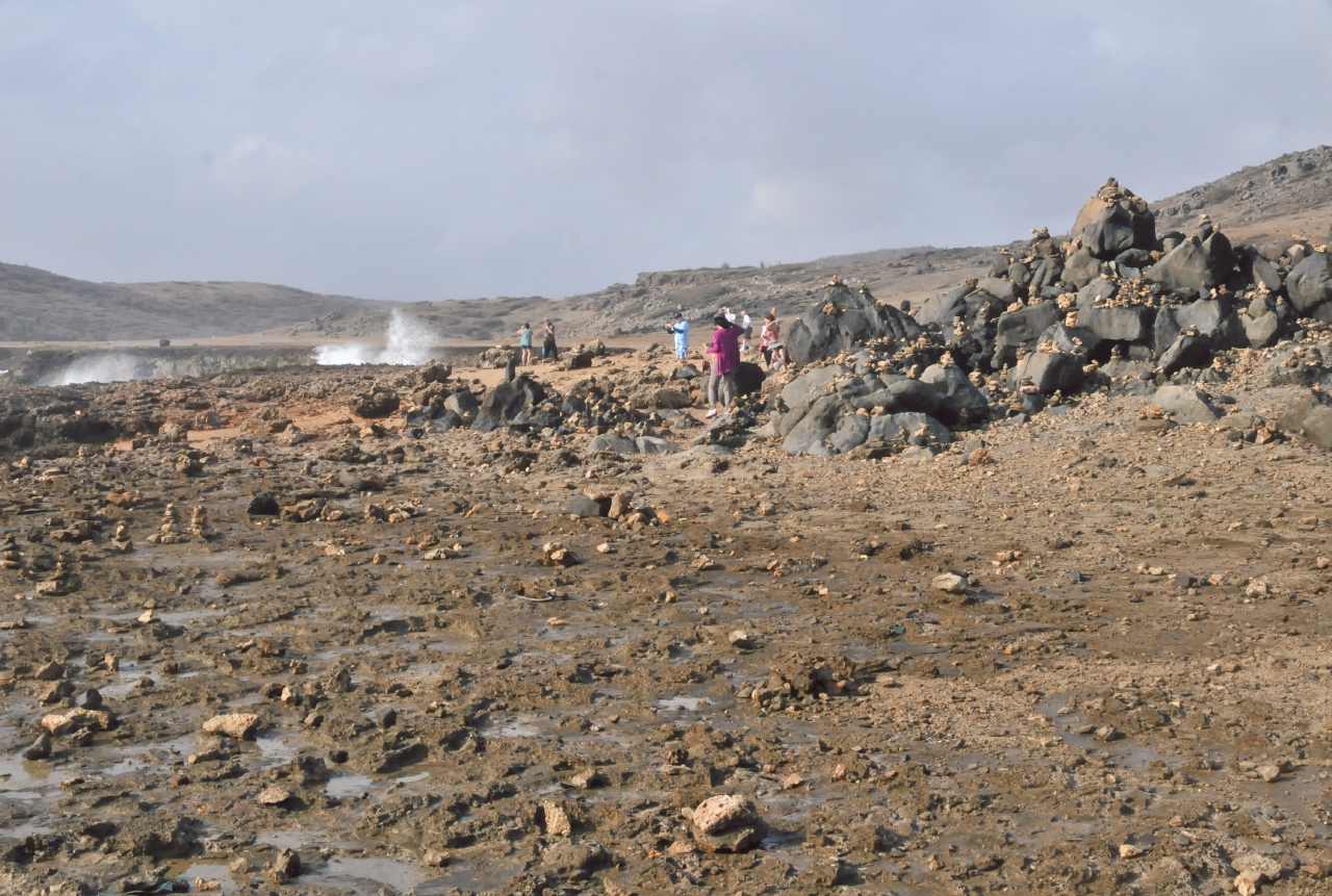 ./Aruba_20140504_082123_C14_1709.jpg