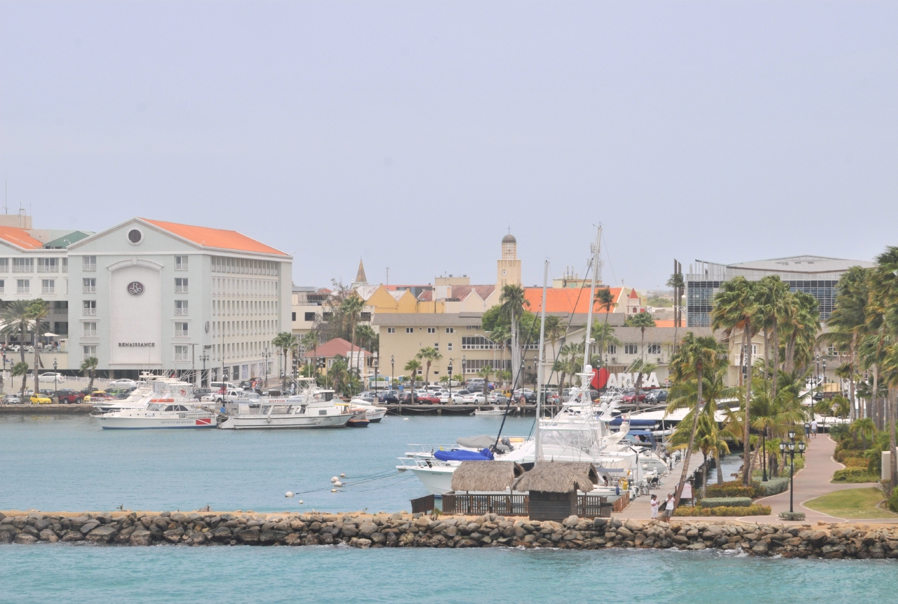 ./Aruba_20140504_124046_C14_1941.jpg