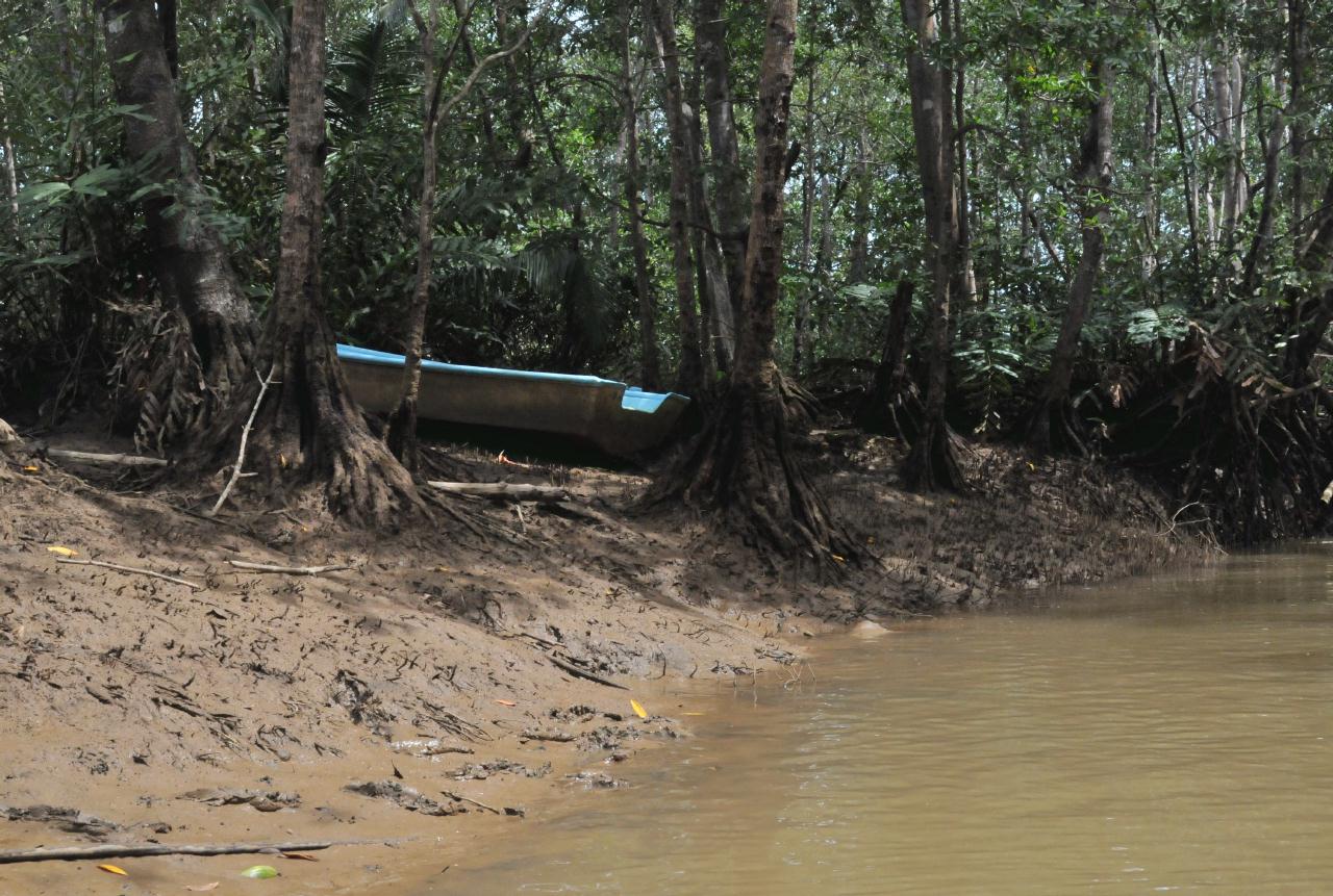 ./MangroveTourQueposCostaRica20080918_04_5583BCX.jpg