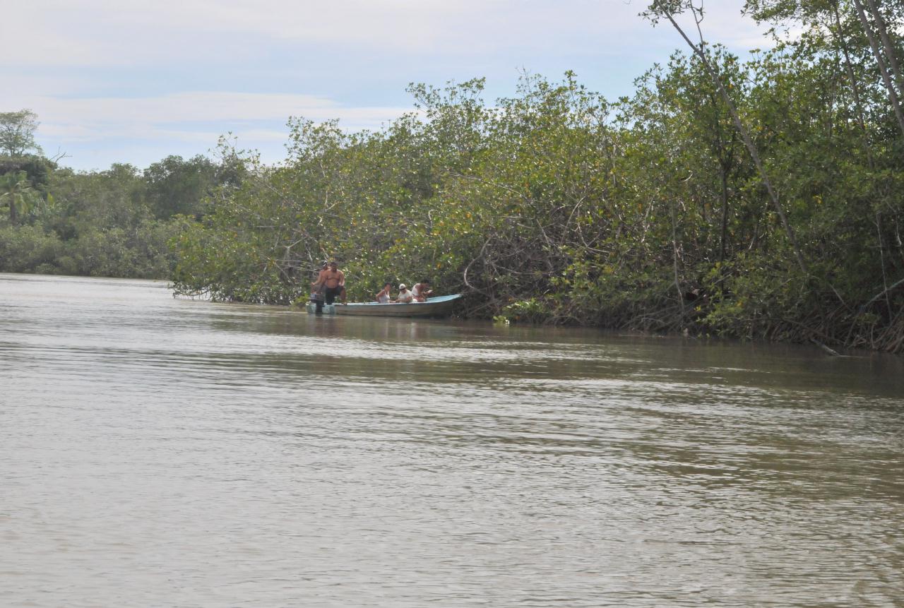 ./MangroveTourQueposCostaRica20080918_19_5620BCX.jpg