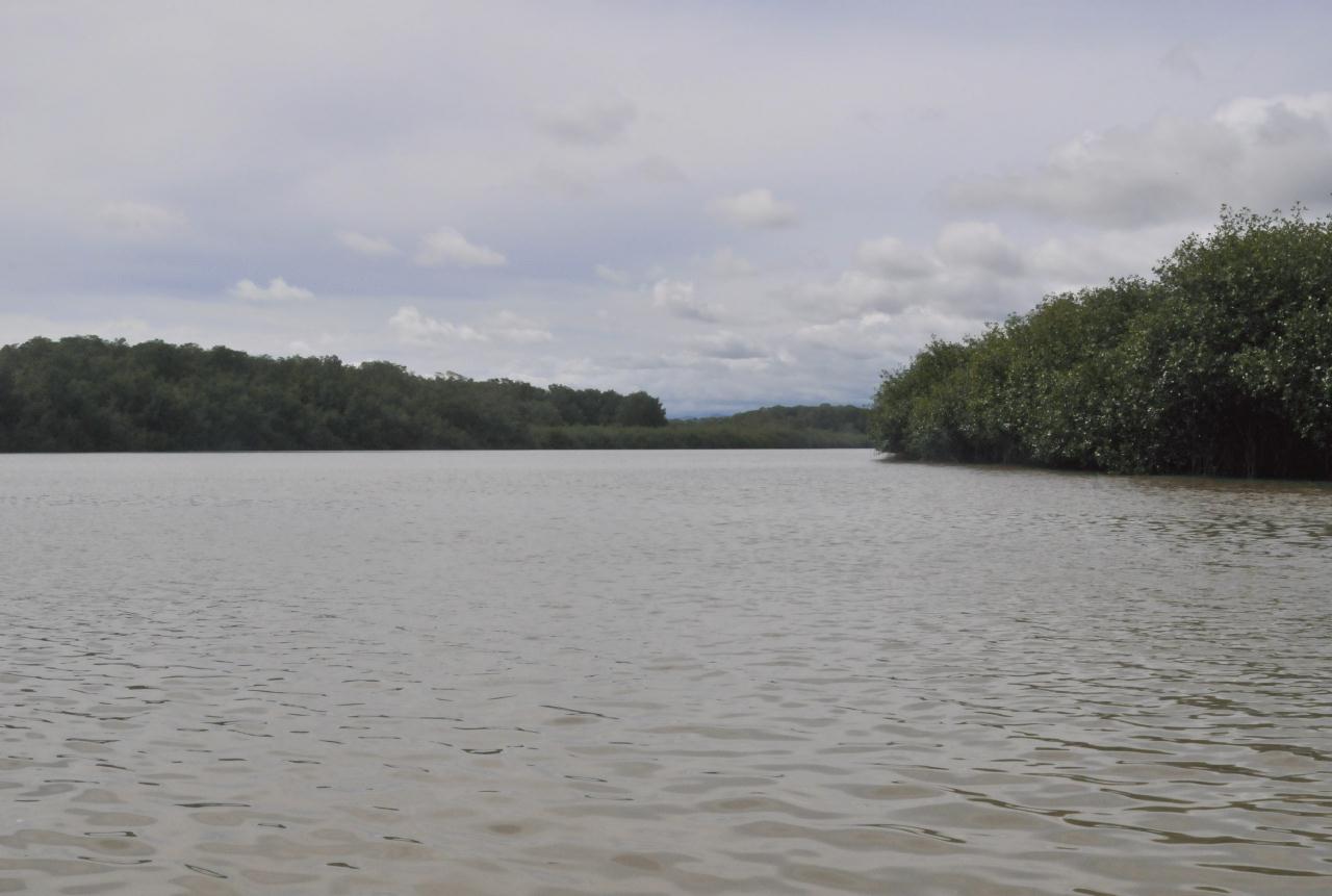 ./MangroveTourQueposCostaRica20080918_21_5626BCX.jpg