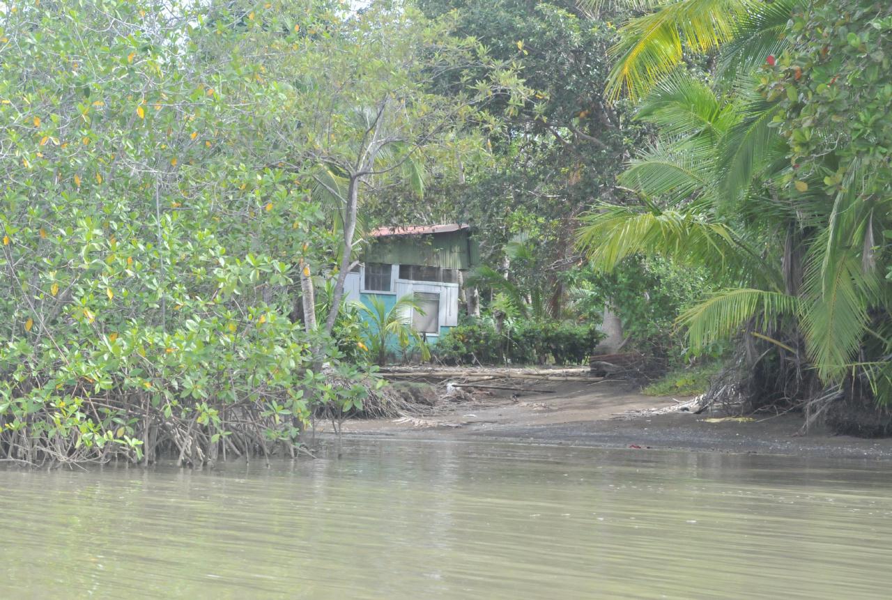 ./MangroveTourQueposCostaRica20080918_25_5634BCX.jpg