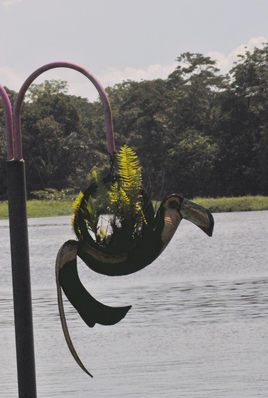 ./TortugueroCostaRica20080908_17_1299TNT.jpg