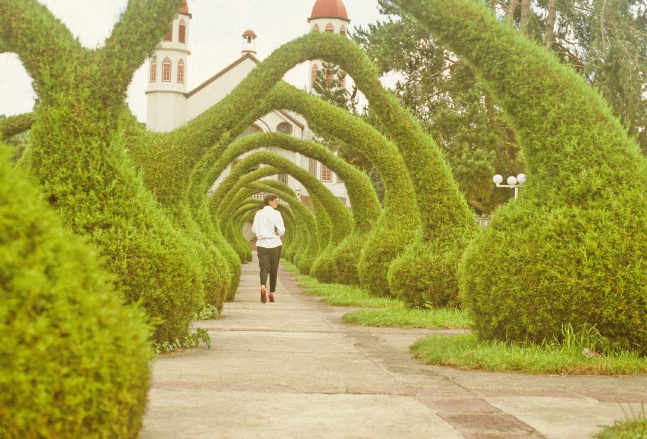 ./Topiary1988_04.jpg