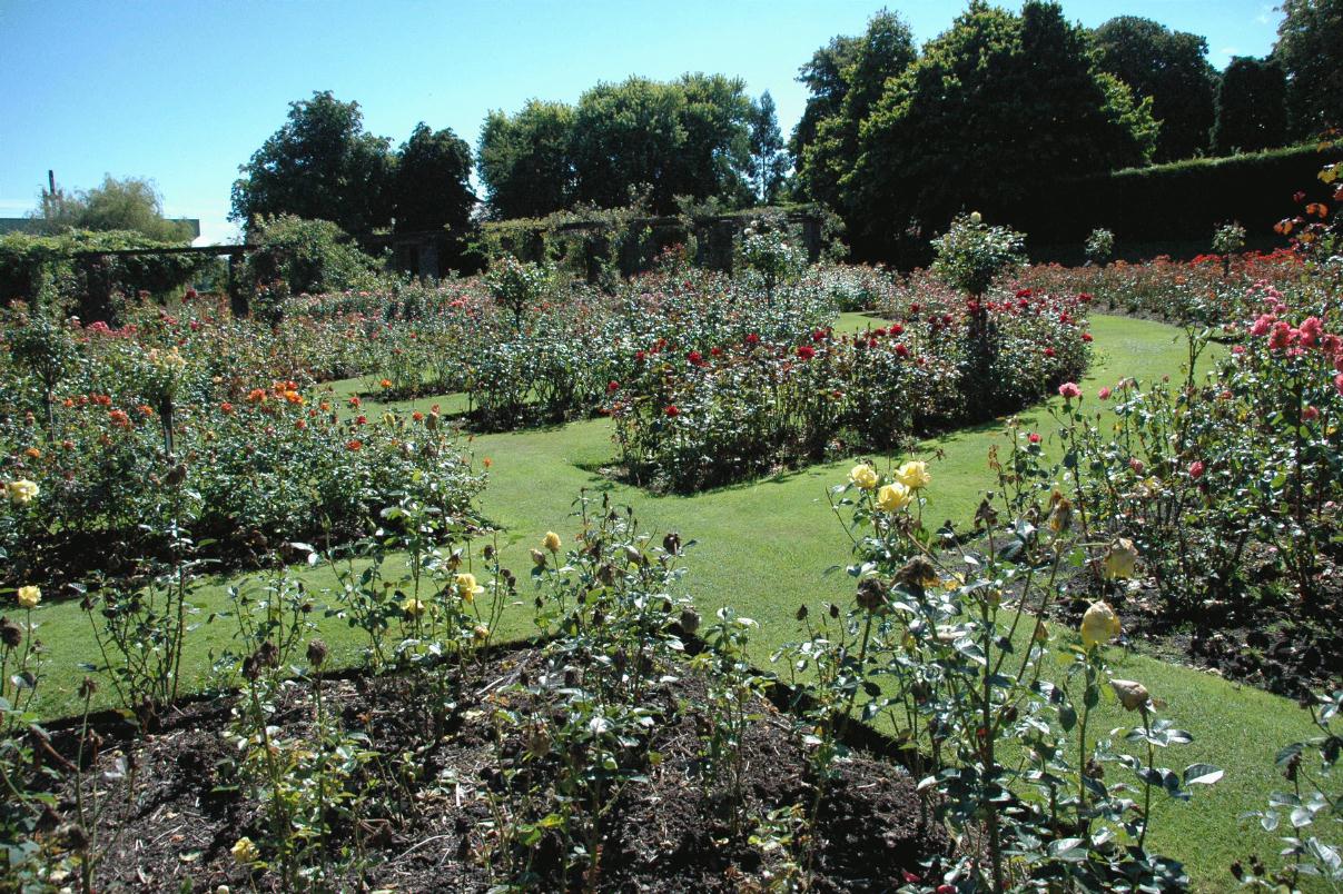 ./BelfastBotanicGardens2007_17.jpg