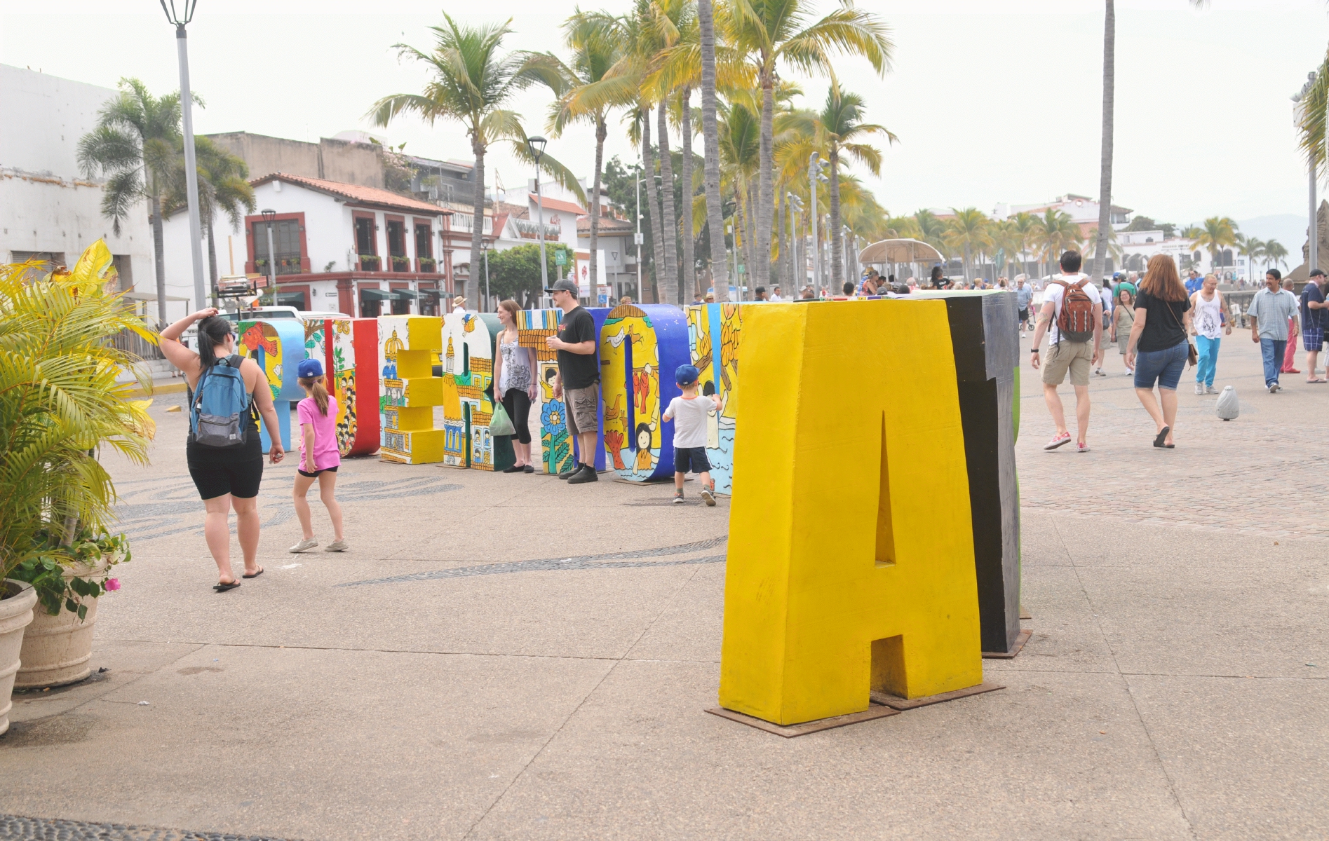 ./Puerto_Vallarta_Mexico_20180123_112037_C18_0324.jpg