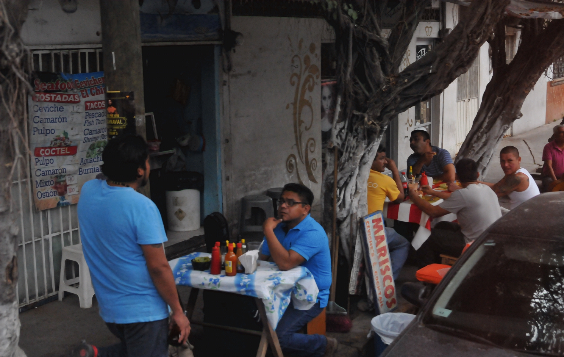 ./Puerto_Vallarta_Mexico_20180123_123151_C18_0504.jpg