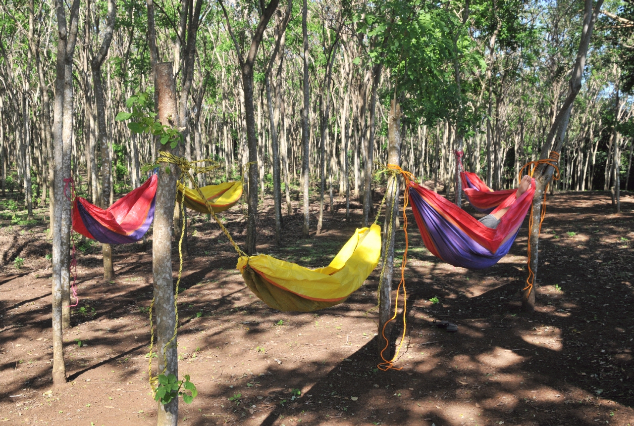 ./Hammocks_Finca_Paso_Llano_Nicaragua_20111123_142544_B12_3034.jpg