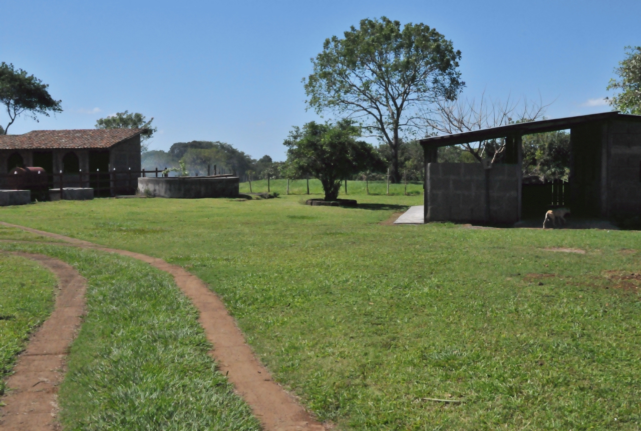 ./Finca_Paso_Llano_Nicaragua_20111123_104903_B12_2771.jpg