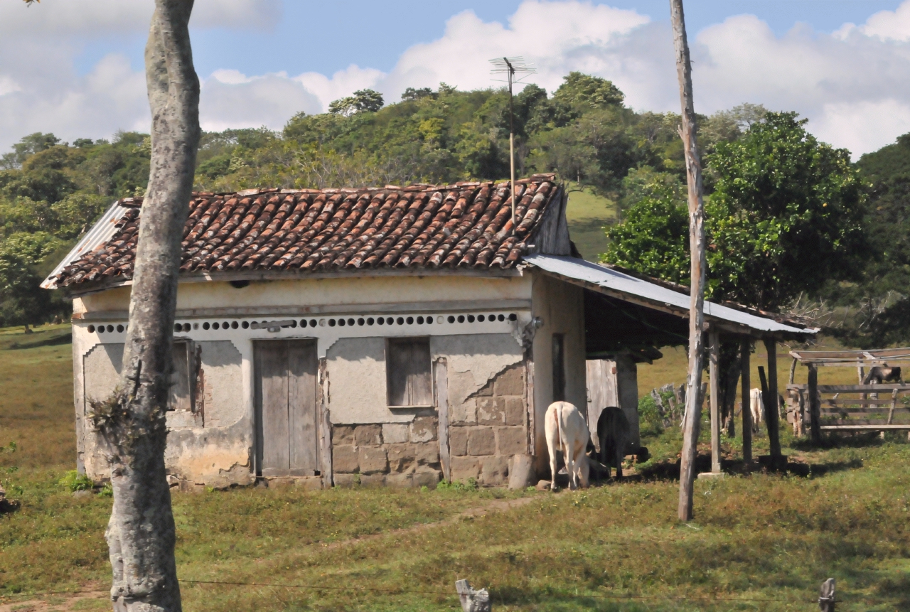 ./Nicaraguan_Impressions_20111123_093451_B12_2737.jpg