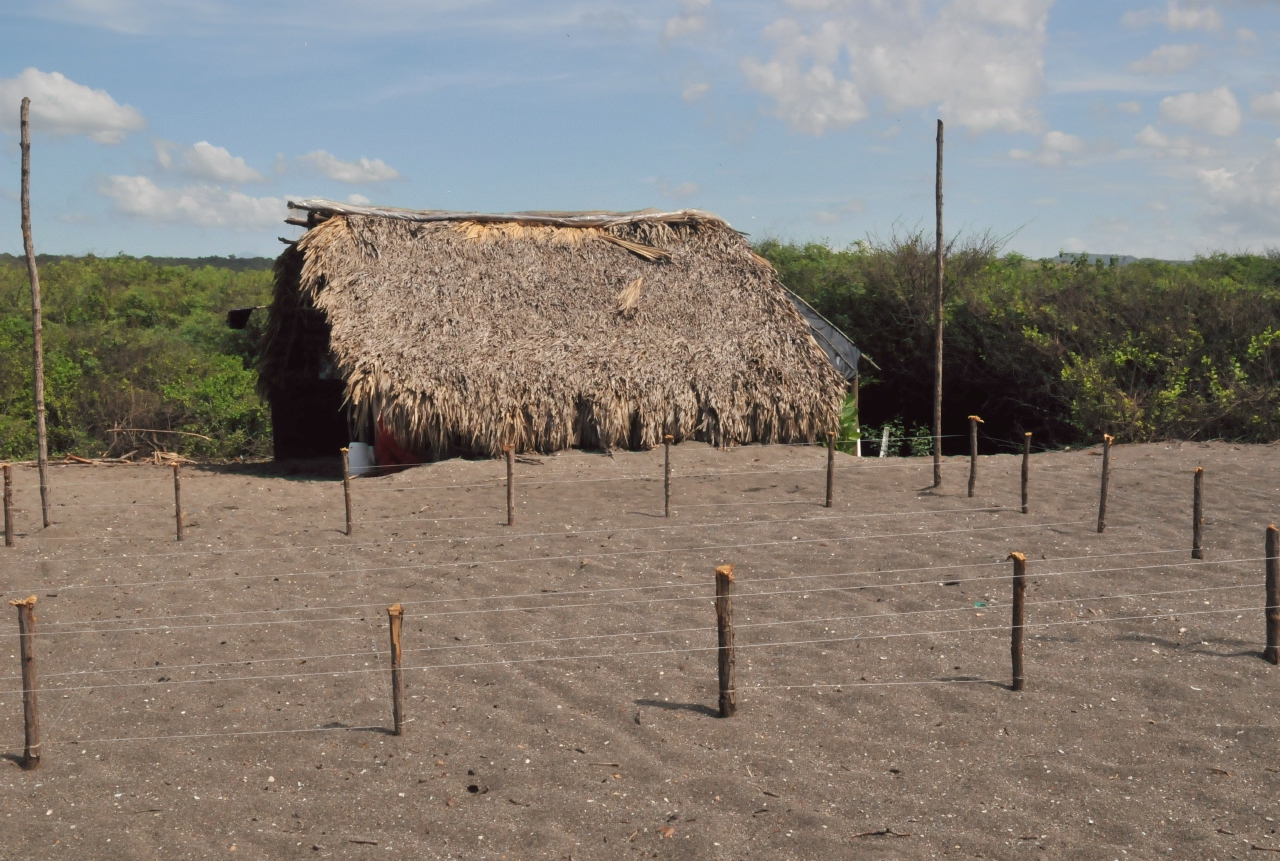 ./Turtle_Hatcher_Leon_Nicaragua_20111117_105256_B12_1154.jpg