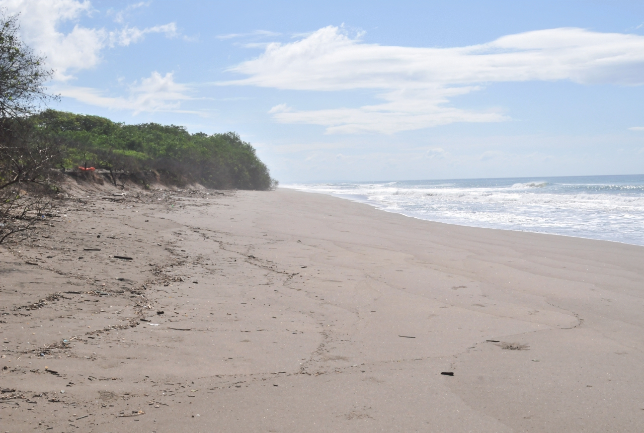 ./Isla_Del_Vendado_20111117_093514_B12_1078.jpg